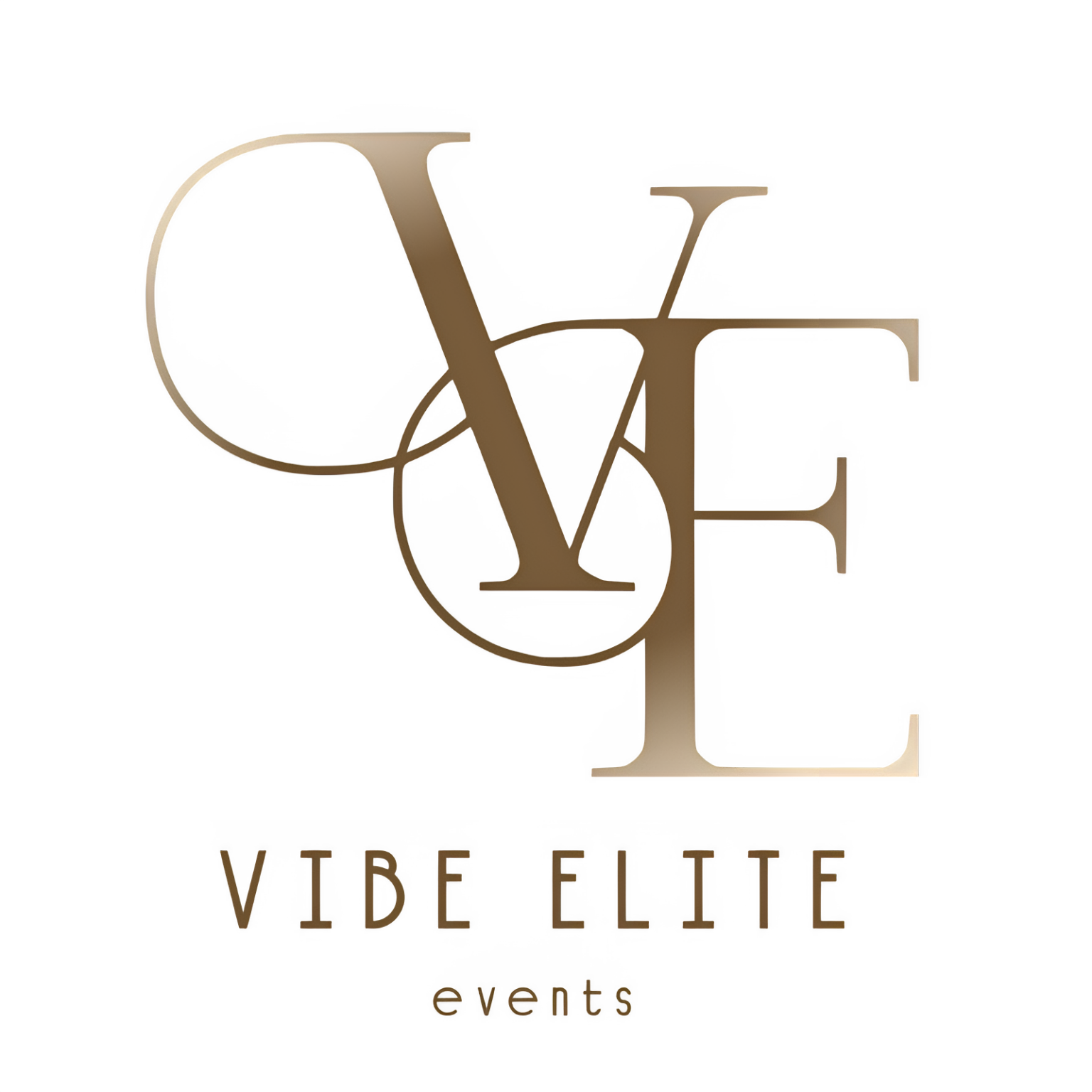 Vibe Elite Logo Standard 6 1 1536x1536